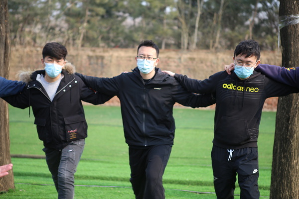 关于植树的内容，关于植树的内容怎