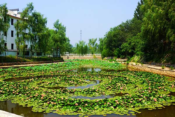 房山植树基地