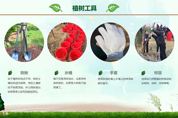 延庆大庄科乡红色基地参观植树活动